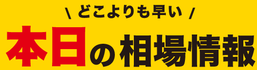 本日の相場情報